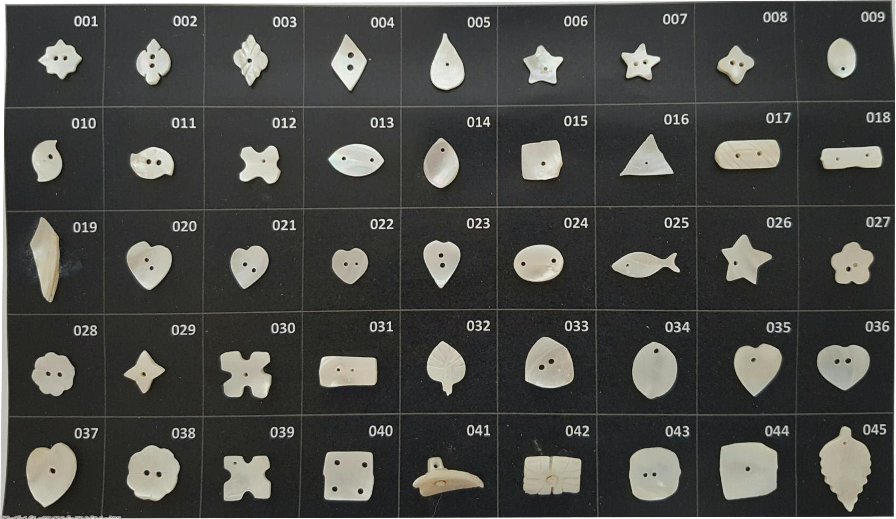 Sea Shell Buttons – buttonsmore