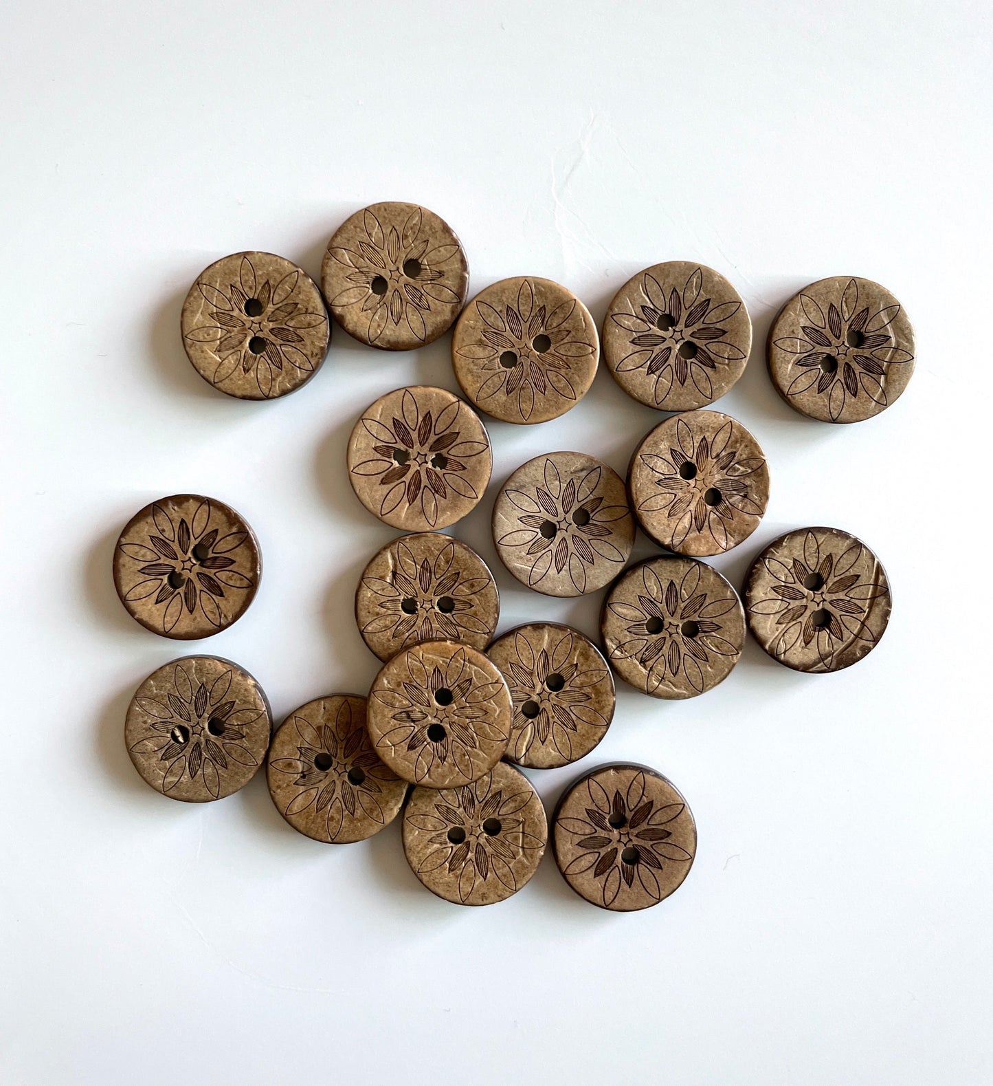 Coconut Buttons - pack of 6 - CSB057