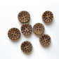 Coconut Buttons - pack of 6 - CSB056